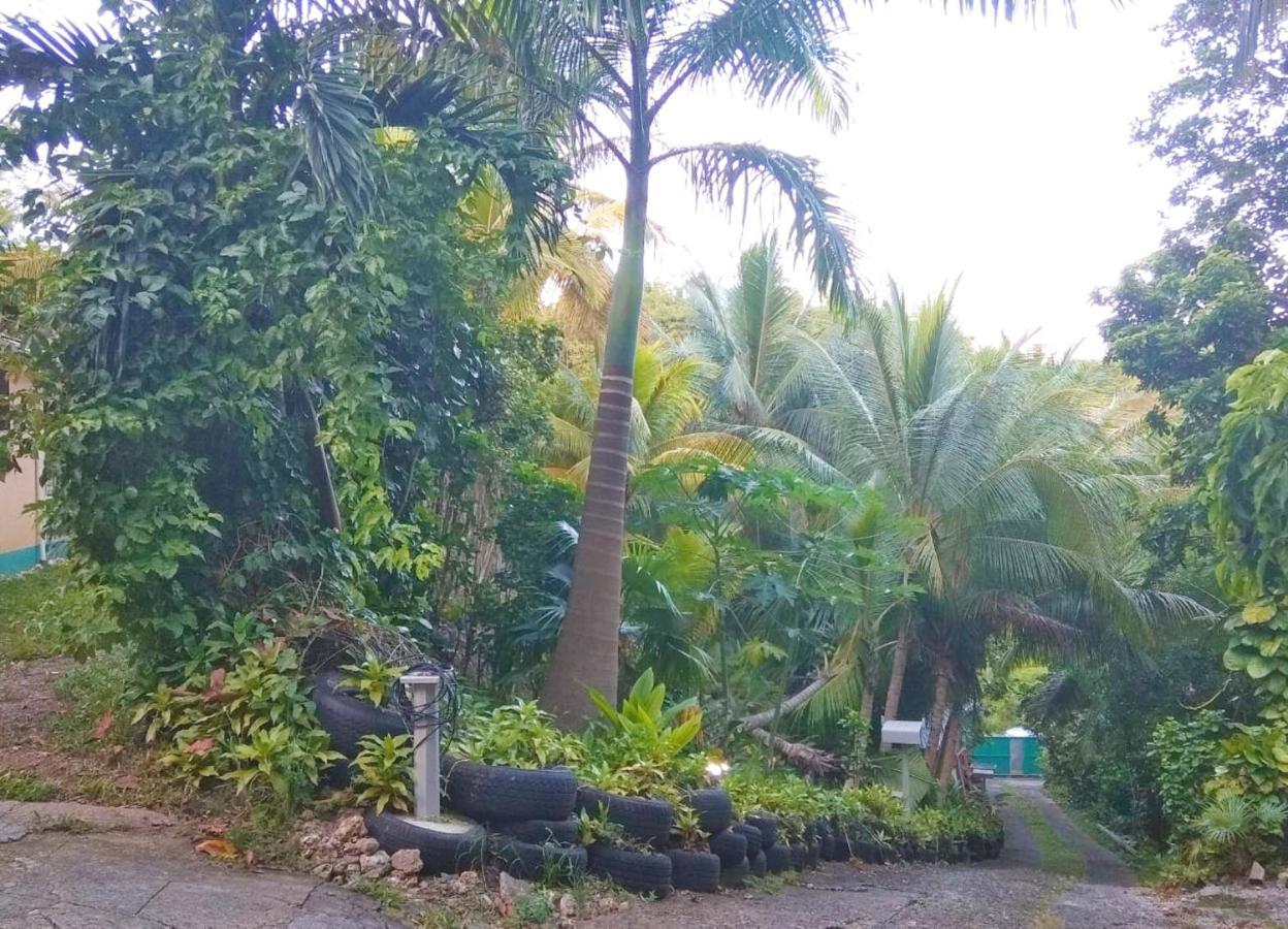 Apartment D'une Avec Jardin Clos Et Wifi A Le Gosier A 3 Km De La Le Gosier (Grande-Terre)